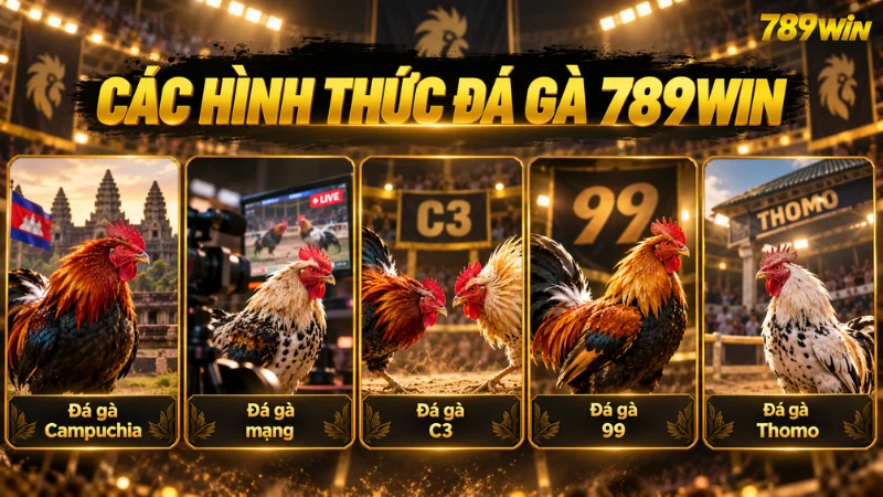 Các hình thức đá gà 789WIN