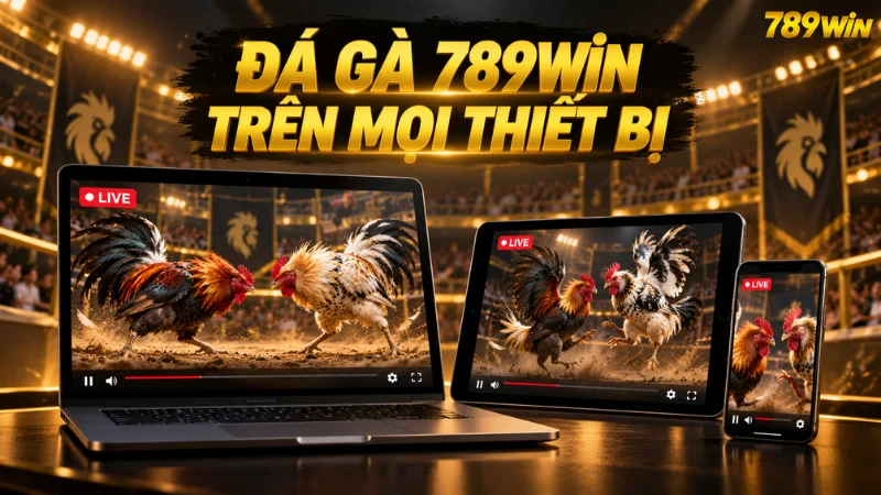 Đá gà 789WIN trên mọi thiết bị